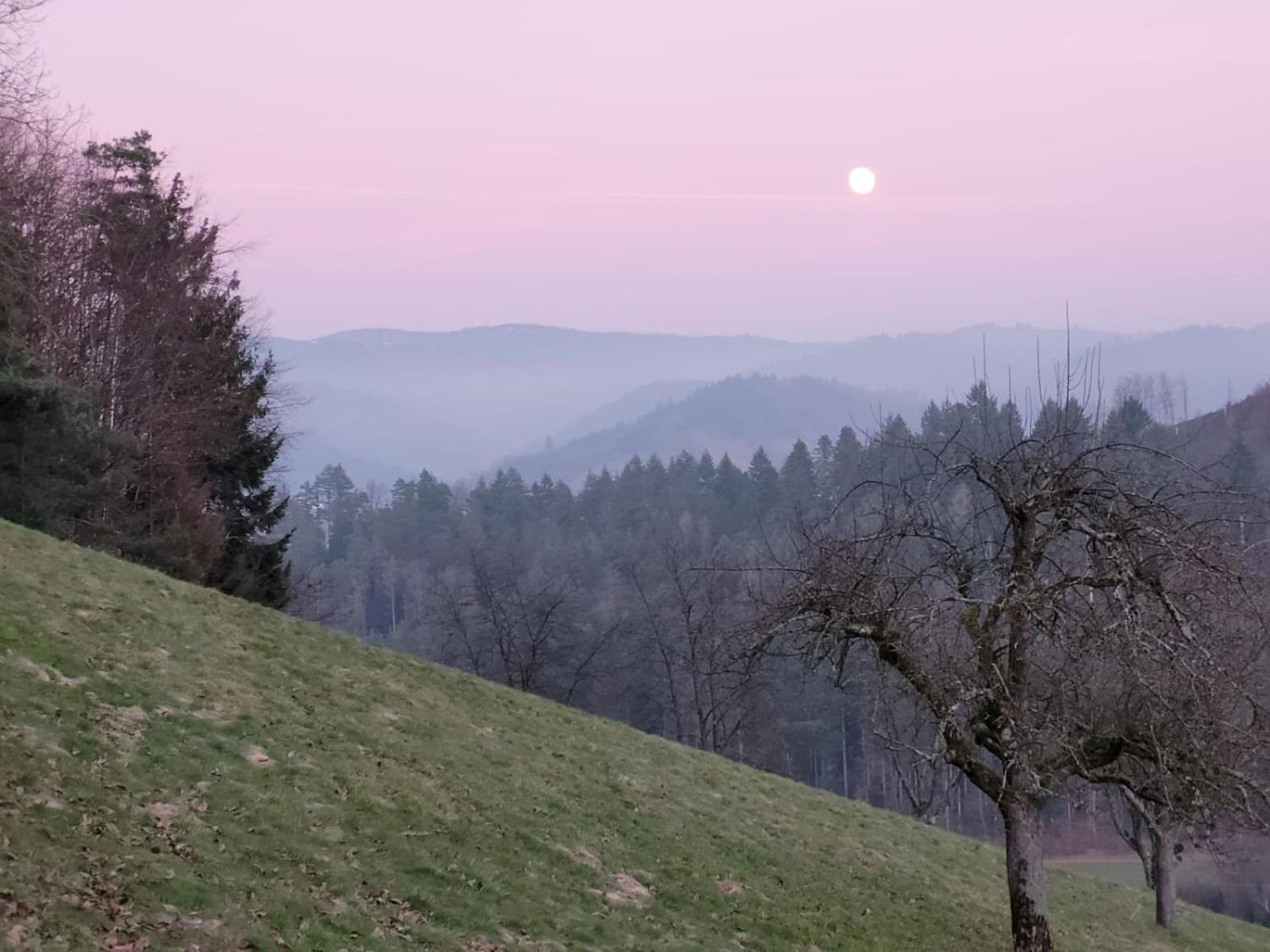 Am Boulevard Gengenbach Kültér fotó